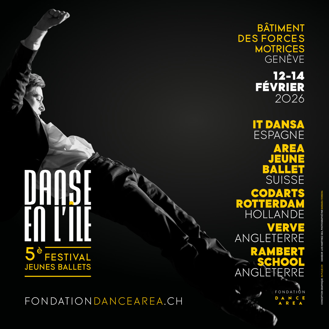 Spectacle danse Jeune Ballets, Formations professionnelles.