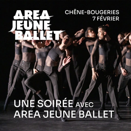 Une soirée avec l’Area Jeune Ballet